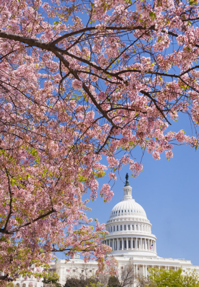 Women in Print Alliance Joins the Tomorrow’s Workforce Coalition